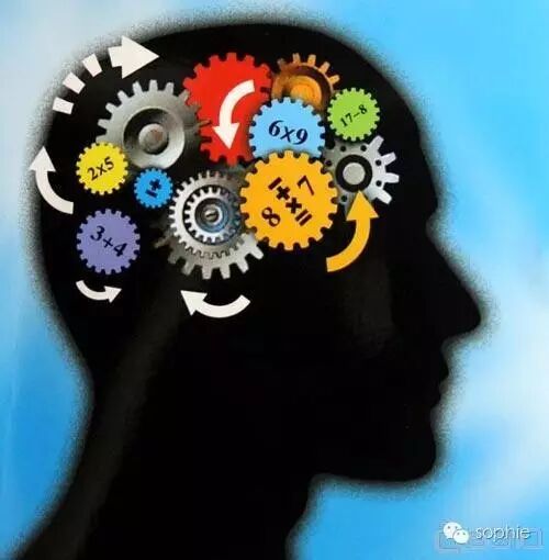 中老年人如何预防认知下降