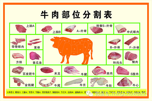 牛肉的部位图解与料理方法