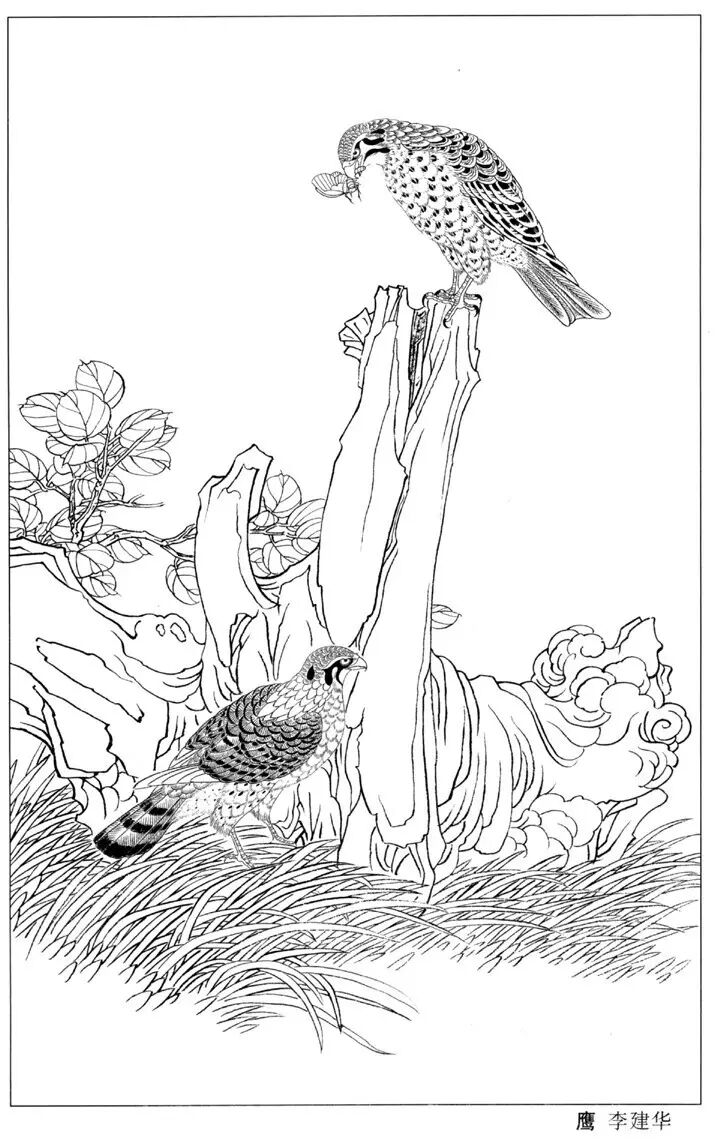 雄鹰传奇乐坊 - 传奇乐坊萧演奏曲