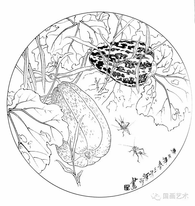 资源分享白描果蔬