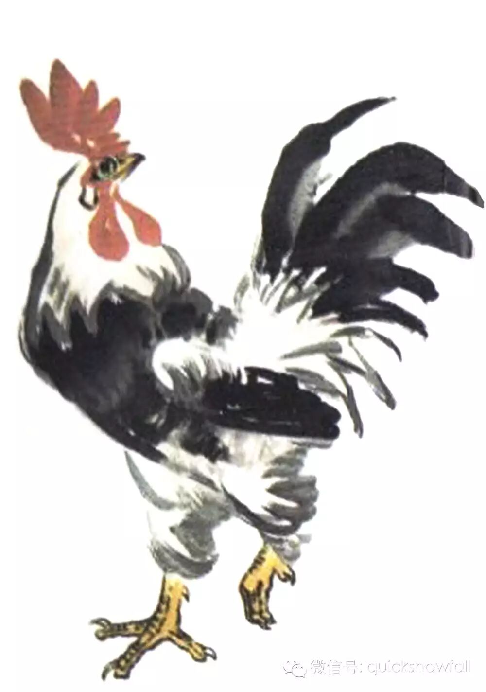 【国画技法】写意公鸡画图文教程