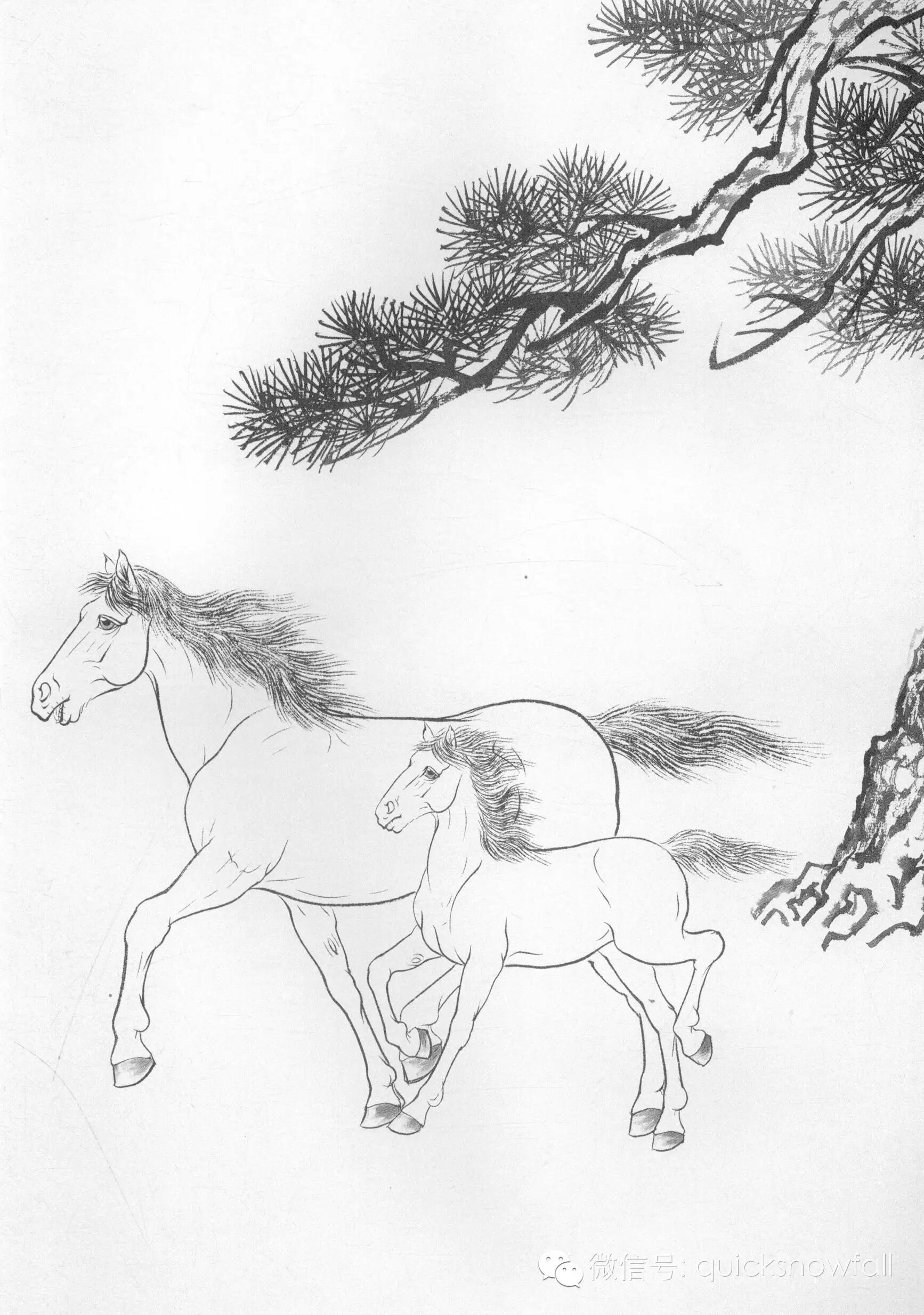 三,工笔画线描动物画谱:骏马篇步骤五:枣红马用调好的颜色罩染,斑马用