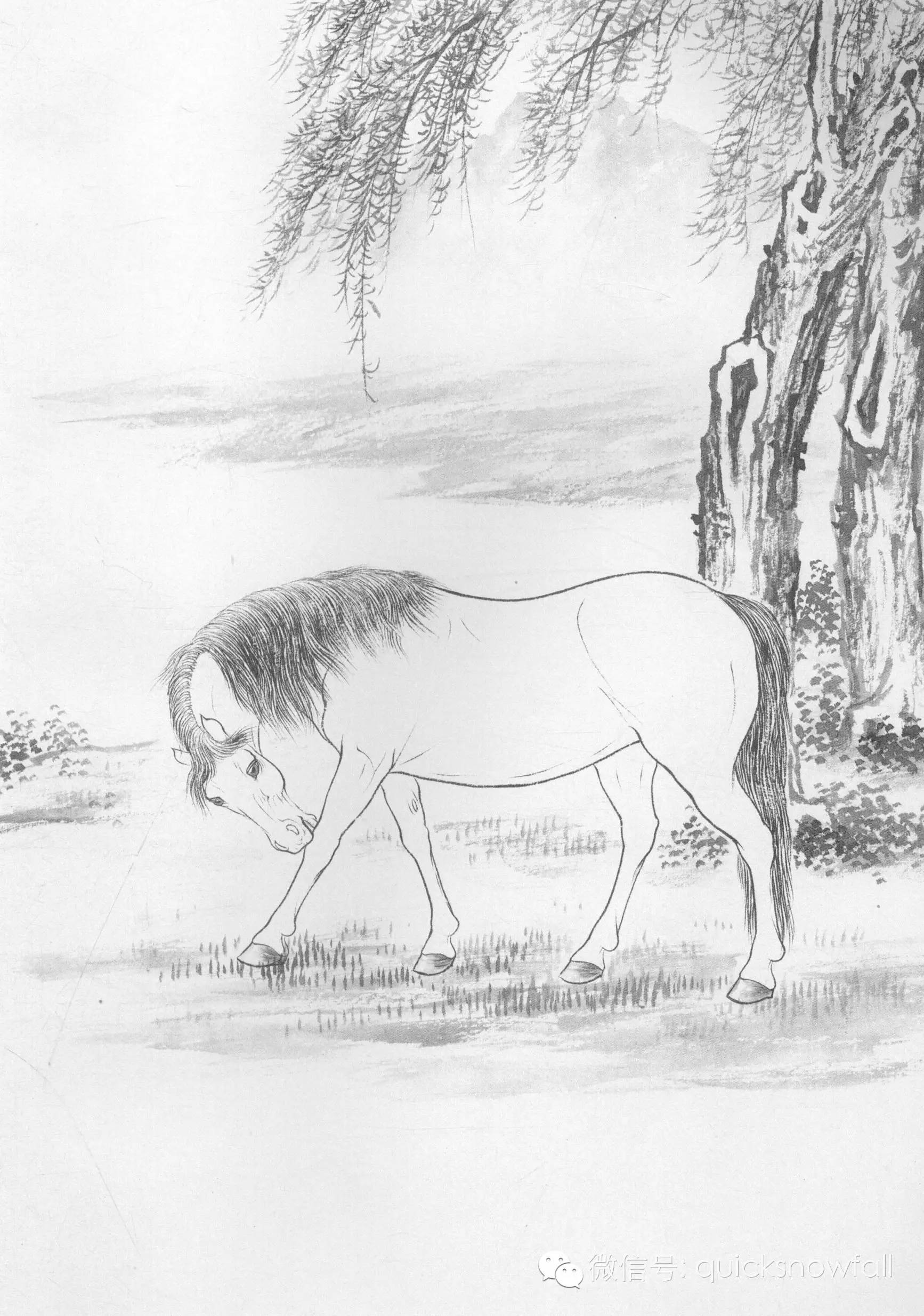 三,工笔画线描动物画谱:骏马篇步骤五:枣红马用调好的颜色罩染,斑马用
