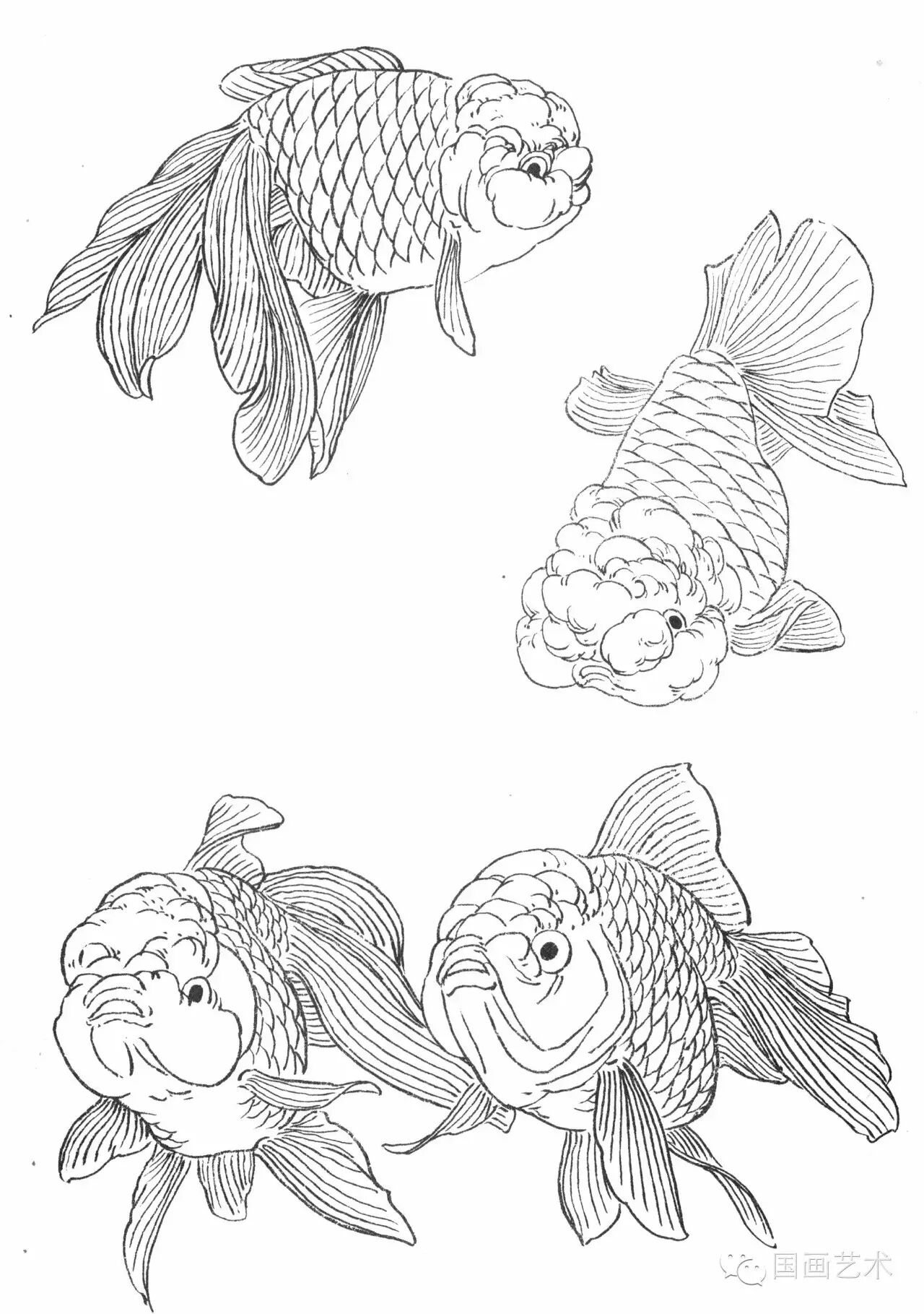 工笔画线描花鸟画谱金鱼篇
