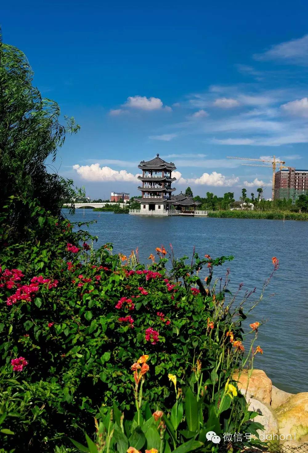 麻涌华阳湖湿地公园图片