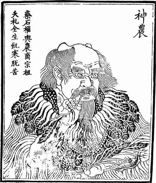 从荼到茶六大茶类的起源研究