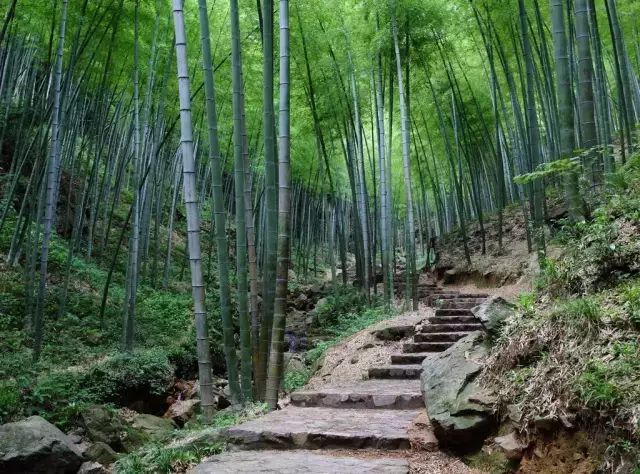 自駕3小時！春節假期就去蘇州周邊這35個好玩景點 旅遊 第16張