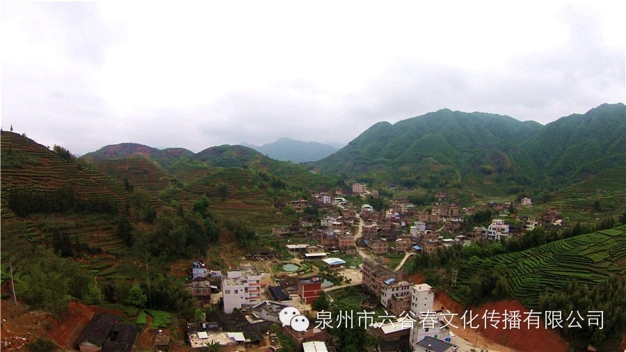 航拍铁观音原产地—西坪镇平原村