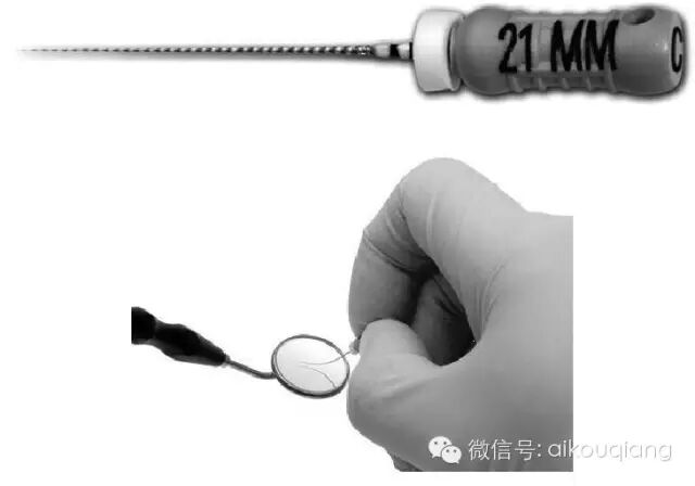 口腔H锉怎么消毒根管治疗器械的选择_https://www.jmylbn.com_新闻资讯_第15张