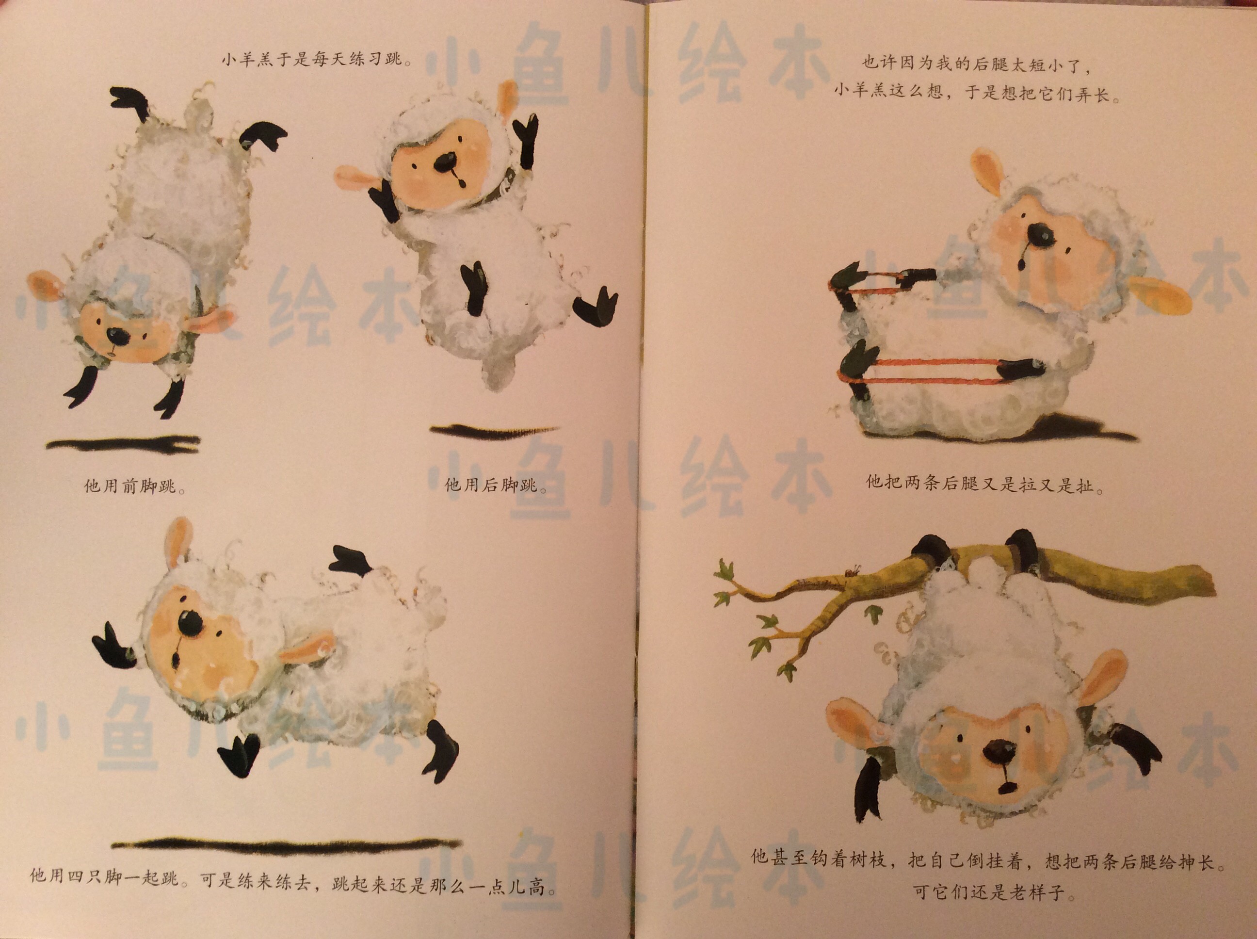 【绘本介绍】袋鼠宝宝小羊羔