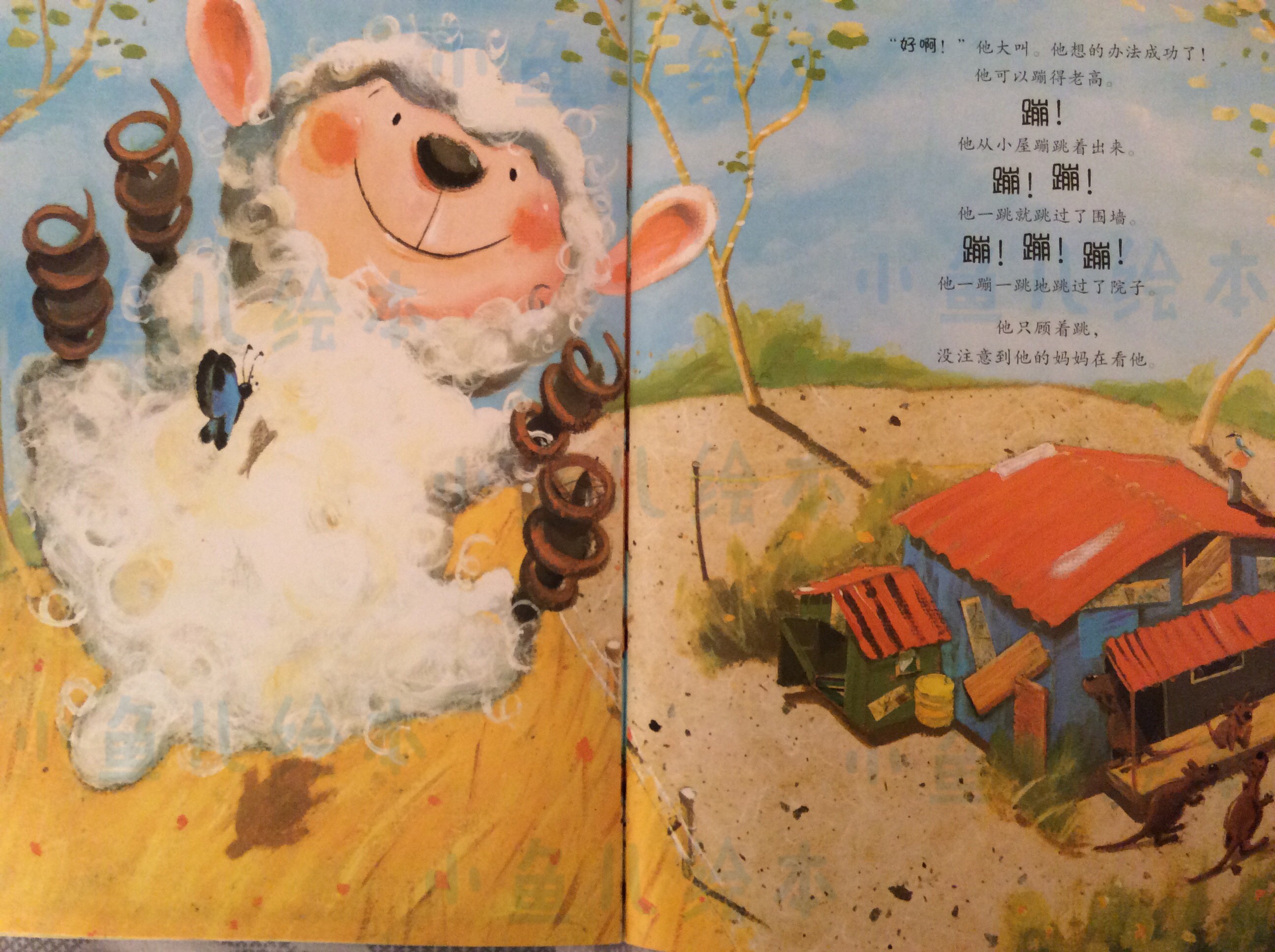 【绘本介绍】袋鼠宝宝小羊羔