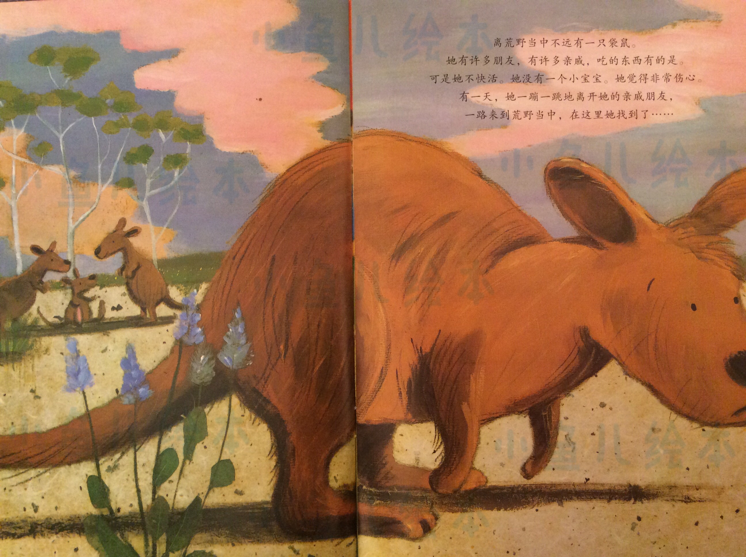 【绘本介绍】袋鼠宝宝小羊羔