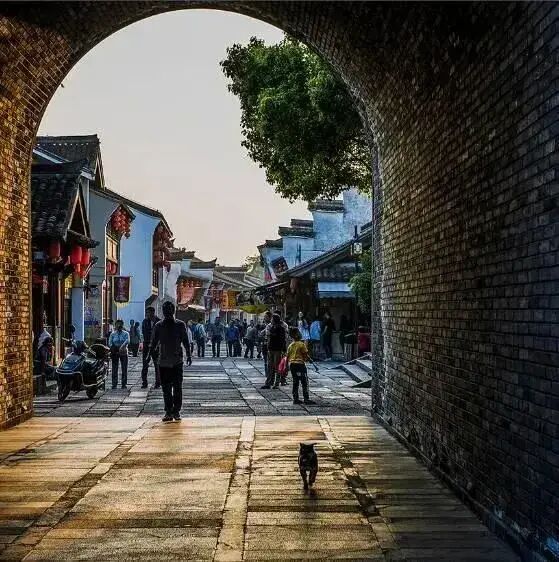 上海三日游_九华山三日怎么游?友好旅行网贴心为你安排行程_亲子三日游去哪里好