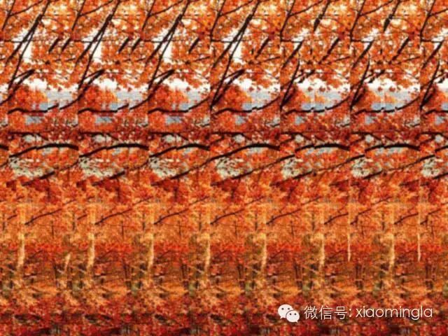 神奇3d立体图片考考你的眼力有的人一辈子看不出来