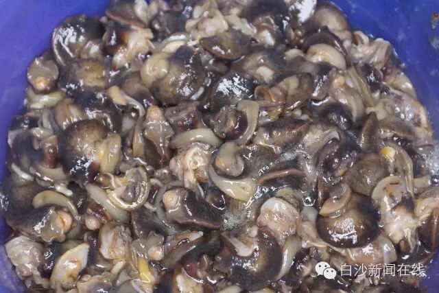 最能代表白沙的美食是雷公笋五脚猪还是鱼酸竹筒饭