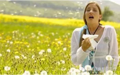花粉症来袭 春天如何对付讨厌的花粉症 文章