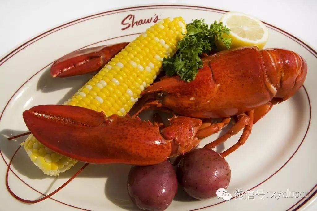 美国海鲜1: 波士顿龙虾