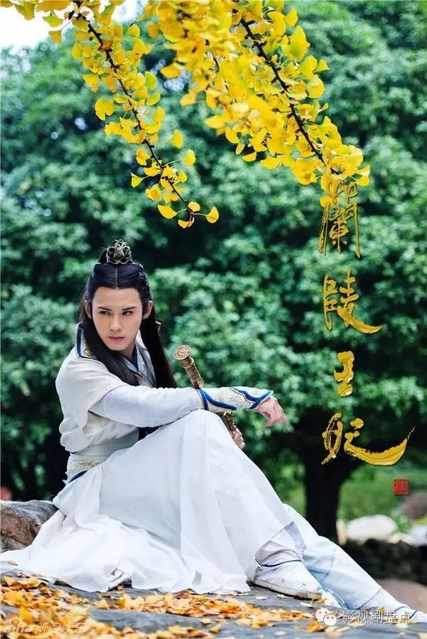 几乎刷过他所有的影视作品,我为宫狂1&2,宫锁连城,犀利仁师,美人制造