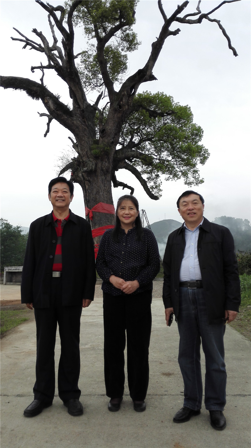 市委正厅级干部陈美林(右)合影贺来毅(左)与本文作者张家界市政府新闻