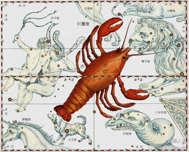 巨蟹座失败的偷袭者