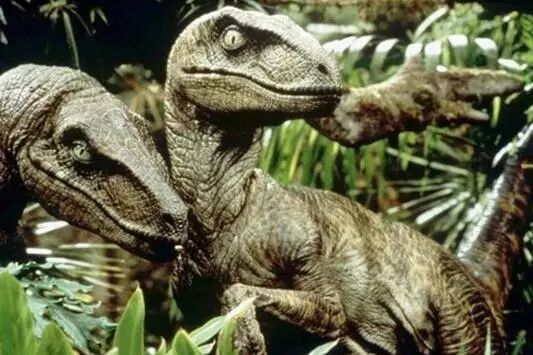 恐怖迅猛龙的真相不迅也不猛不比火鸡大