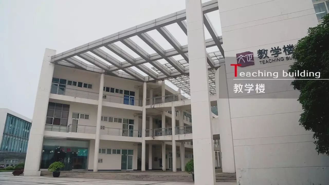 苏大文正学院学生处图片