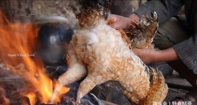 怎么联系当地鸡中国小伙在尼泊尔农村花450卢比买只鸡，来当地村长家加餐_https://www.jmylbn.com_新闻资讯_第14张
