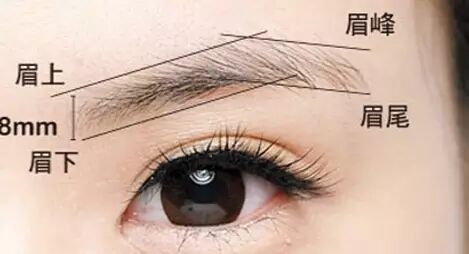 如何用面相风水学来看一个人的眉毛 自由微信 Freewechat