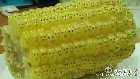 给玉米粒注入灵魂