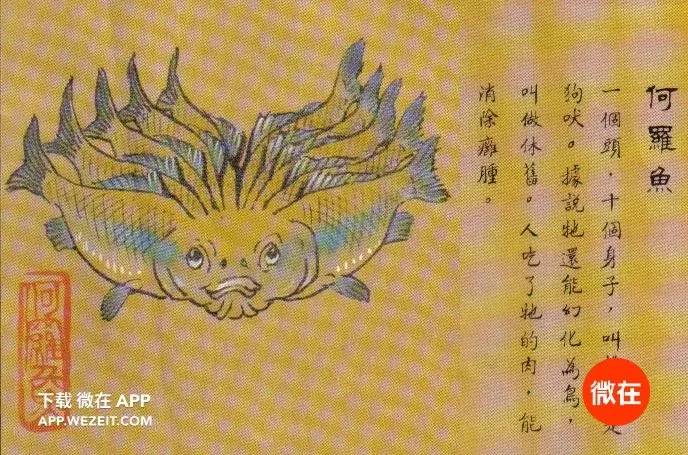 12. 何罗鱼,吃了治疗皮肤病