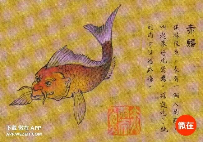 正确食用上古神兽会有些什么功效