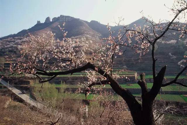 最美民宿（山東篇）建議收藏 旅遊 第44張