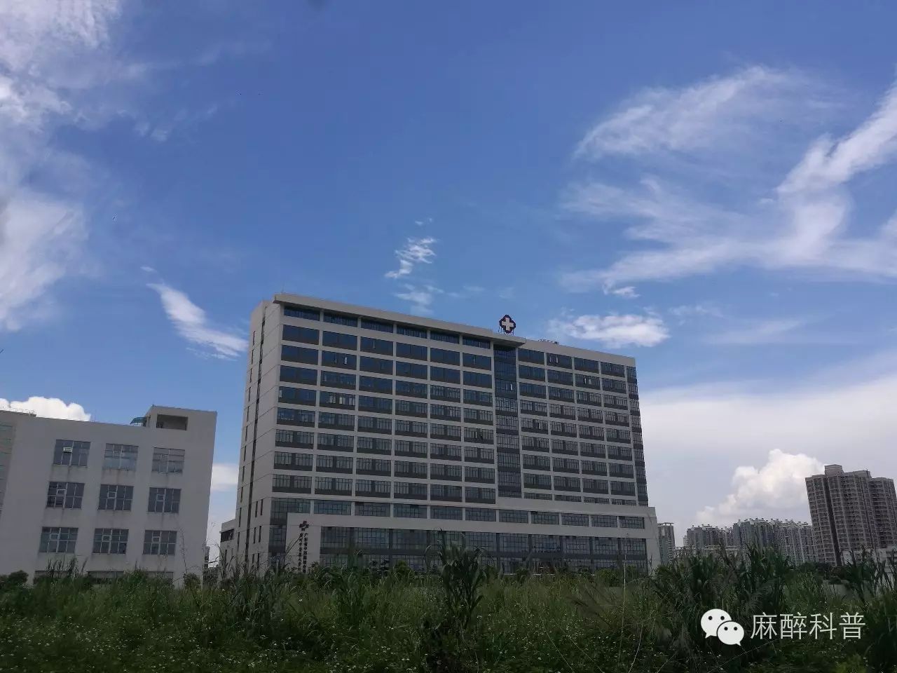 美丽的广州中医药大学三附院