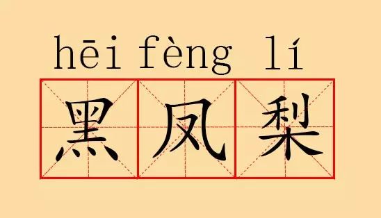 辣詞和黑鳳梨一樣搞笑的諧音詞你還知道哪些