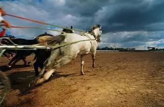 思维方式（惊呆了）