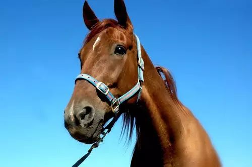 思维方式（惊呆了）