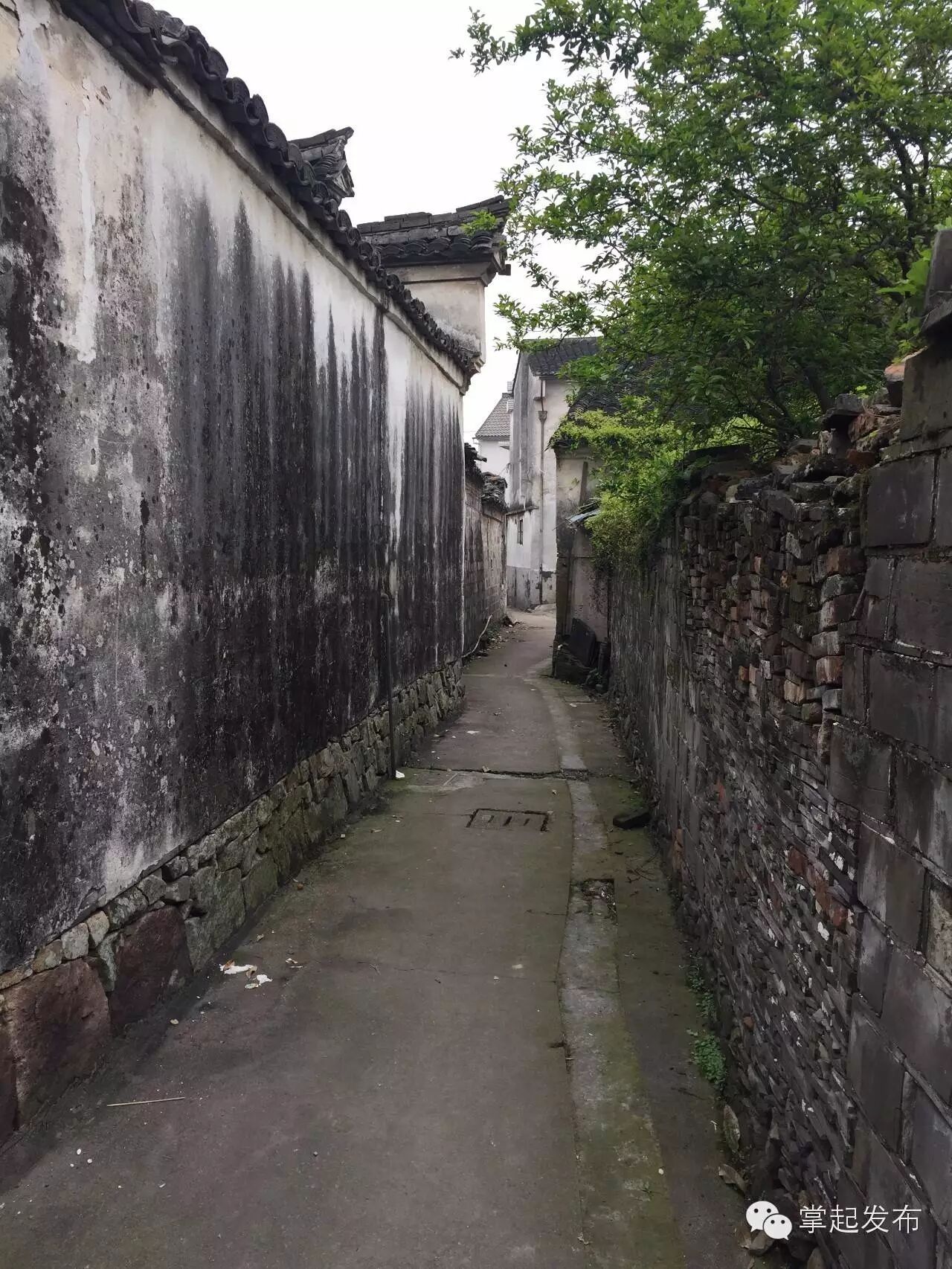宁波市慈溪市掌起镇东埠头村