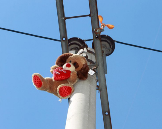 如何判断电力铁塔的电压？的图4