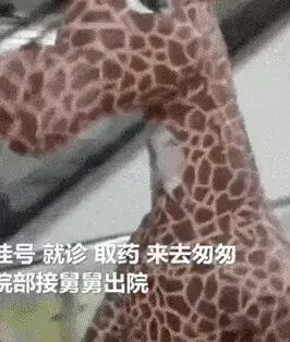 硬核防护！这波操作，冠军投给洛杉矶，笑过背后满是心酸（组图） - 9