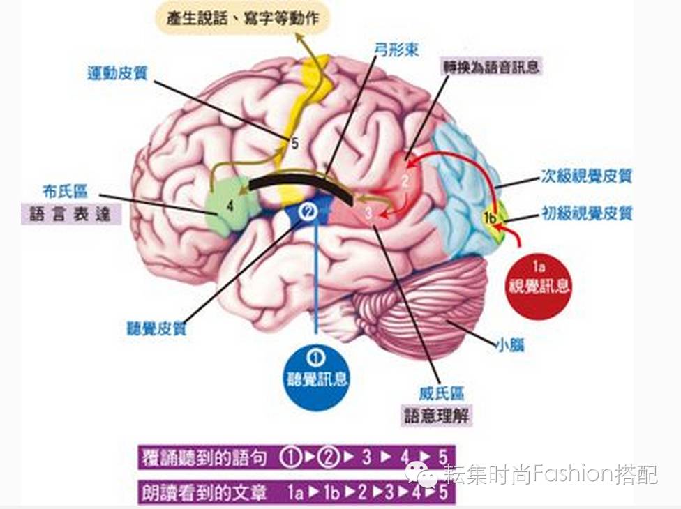 周五好书推荐运动改变大脑