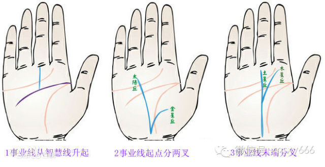 健康线连接着感情线智慧线和事业线_手相事业线穿过智慧线_最奇怪的智慧线