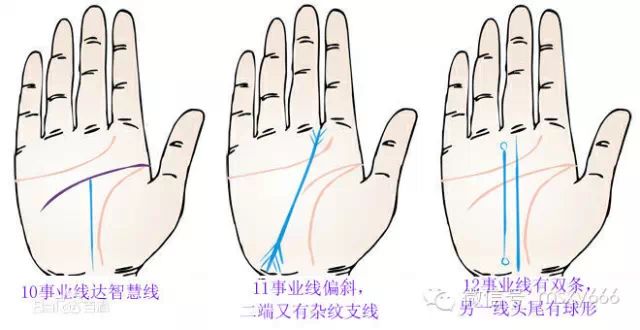 健康线连接着感情线智慧线和事业线_最奇怪的智慧线_手相事业线穿过智慧线