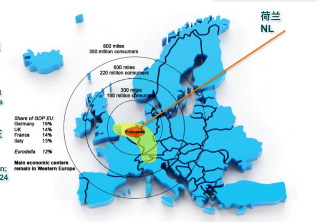 蓝色香蕉和荷兰模