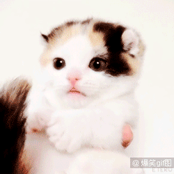 >> 正文 (文章发布于:2015-09-11) 热门推荐 最坏的星座女生排行榜