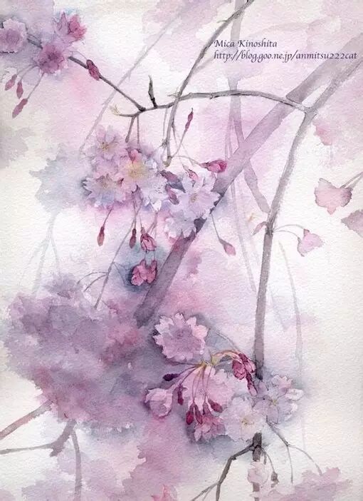 花花世界 一花一世界 黑油山传奇 微信公众号文章阅读 Wemp