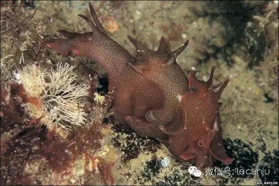 利织母goingdown受不鸟啦