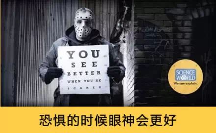 恐惧的时候眼神会更好！