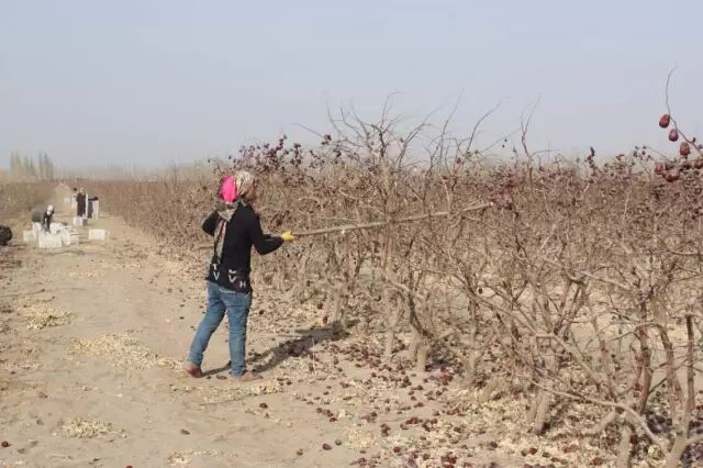 640?wx_fmt=jpeg&wxfrom=5&wx_lazy=1&wx_co=1