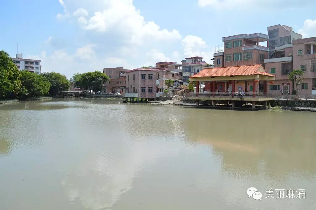 麻涌有个地方叫"水云乡",你们知道在哪里吗?