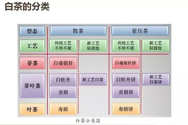 几张图，轻松了解白茶知识